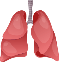 płuca nowotwór badanie onkologia